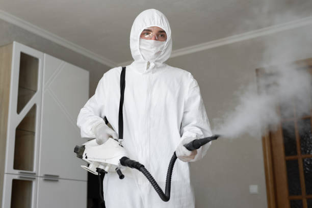 Best Emergency Mold Remediation in Crockett, TX